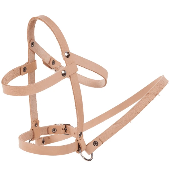 Helga Kreft Halfter Für Schaukelpferd Jolly Popcorn 1 Helga Kreft Halfter Für Schaukelpferd Jolly Popcorn