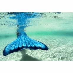 XTREM Toys And Sports - FIN FUN Meerjungfrau Mermaidens Tidal Teal -Günstiges Spiel Paradies Geschäft xtrem toys and sports fin fun meerjungfrau mermaidens tidal teal a290364 8